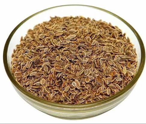 Anethum graveolens / Sua visual