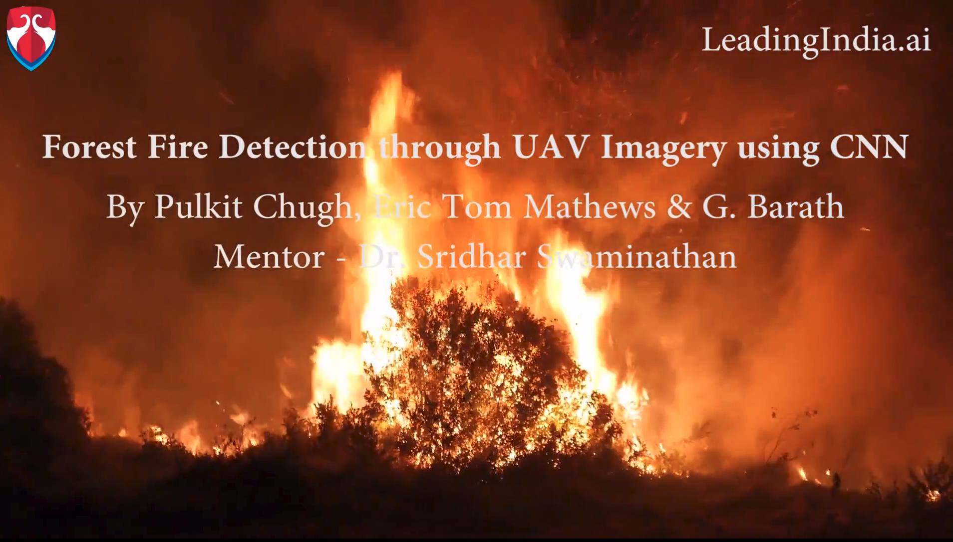 Forest Fire Detection Uav Images Notebook By Sanyam Bhutani Init