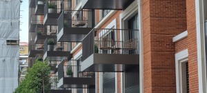 20220728_102154_n8frp8