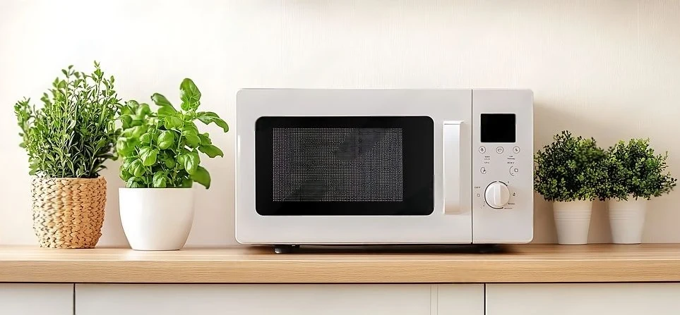 Microwave Convention Grill 20 L on rent