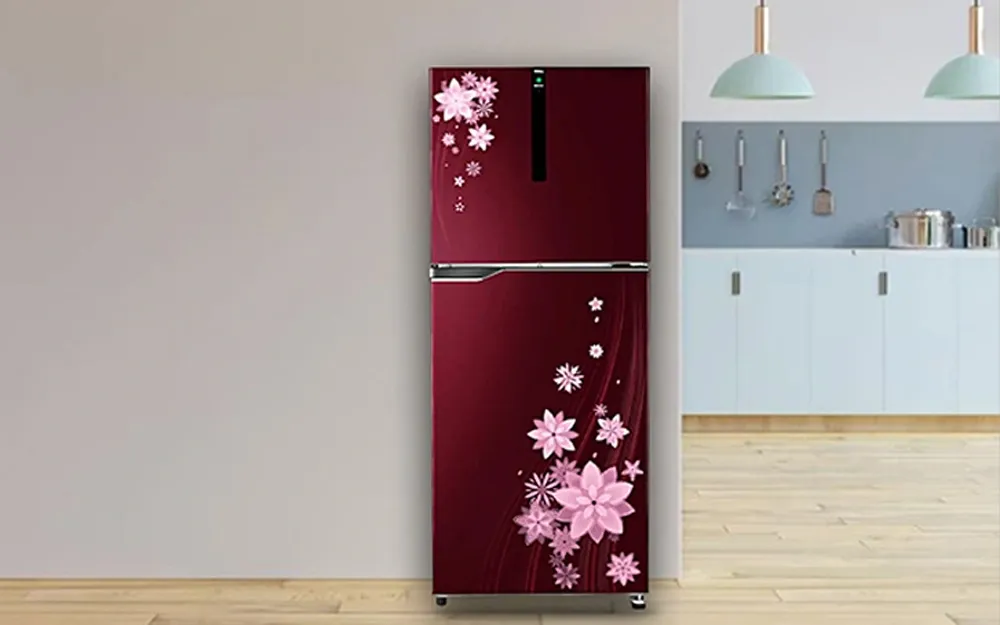 Double Door Fridge (280 Litre) for rent