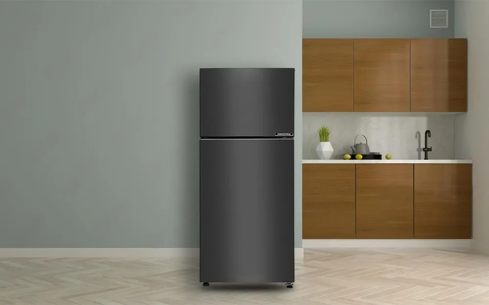 Double Door Fridge (240 Litre) on rent