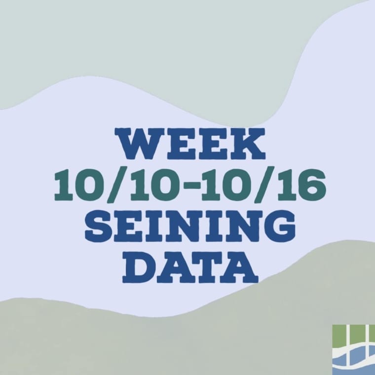 Check out last week's seining data at CURB! Results include our volunteer seining research, CURB's After School Program, and Day in the Life of the Hudson River. #hudsonriver #yonkers #seining #research #fish #crabs