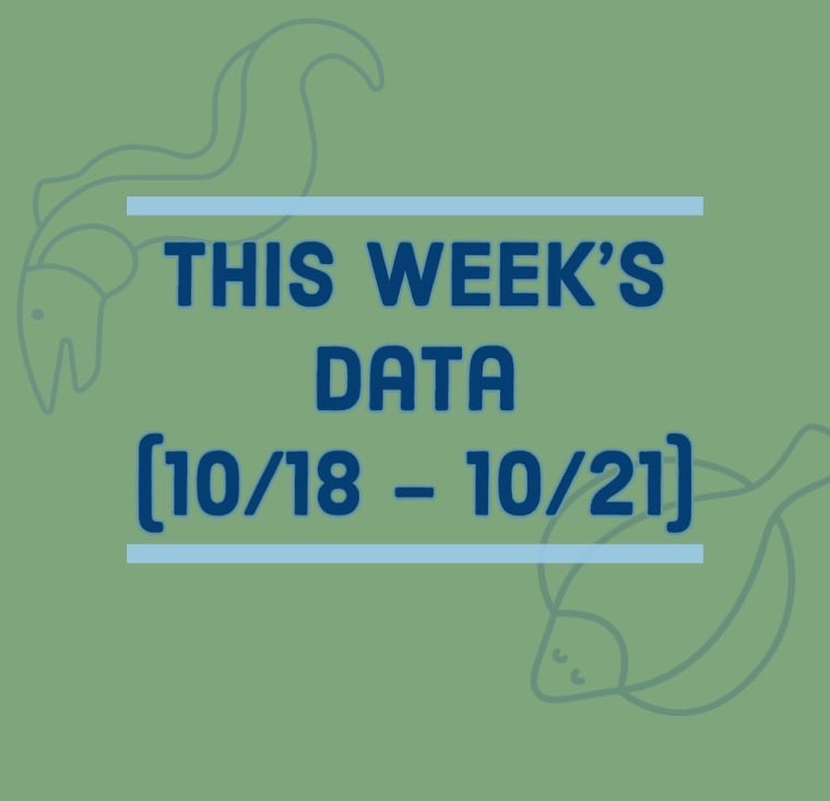 Results of last week’s (10/18-10/21) seining data! A large 65cm American Eel and 10cm Winter Flounder where caught.