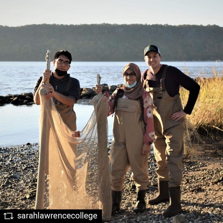 #REPOST @sarahlawrencecollege Last week, a team from SLC’s Center for the Urban River at Beczak comprised of staff, an SLC student, and two @yonkerspublicschools students discovered a new Hudson River fish species while seining CURB’s tidal marsh. The lyre goby has never been caught in the Hudson River and its northernmost range was thought to be the Chesapeake Bay. According to the @nysdec, this is now the 236th fish species to be identified in the Hudson River. Great work, @slccurb! Read more at the link in our bio • • • #sarahlawrencecollege #sarahlawrence #centerfortheurbanriver #seining #lyregoby #yonkers #hudsonriver #yonkersmiddlehighschool