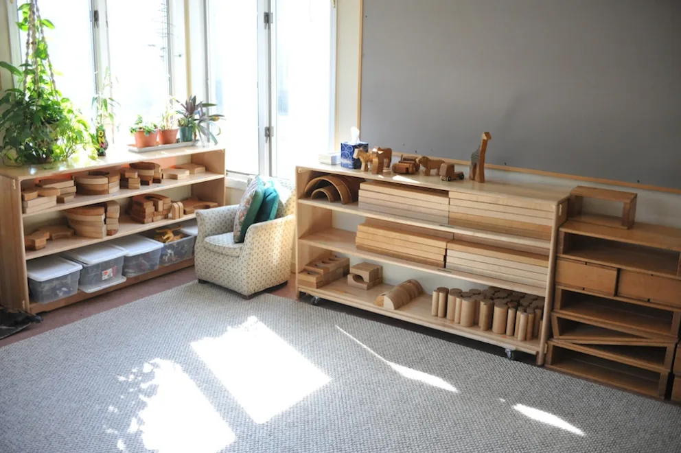 Bright room with wooden shelves holding toys and plants by the window.