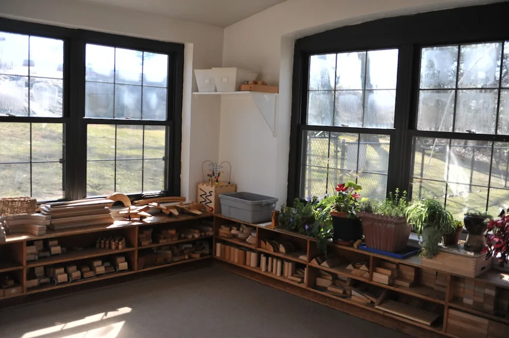 Sunlit room with plants on shelves by large windows, wooden materials on racks, and a clear view outside.