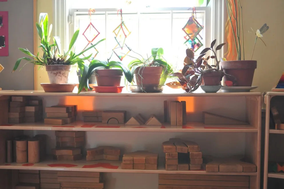 Houseplants on a shelf by a window with sun catchers, and wooden toys on lower shelves.