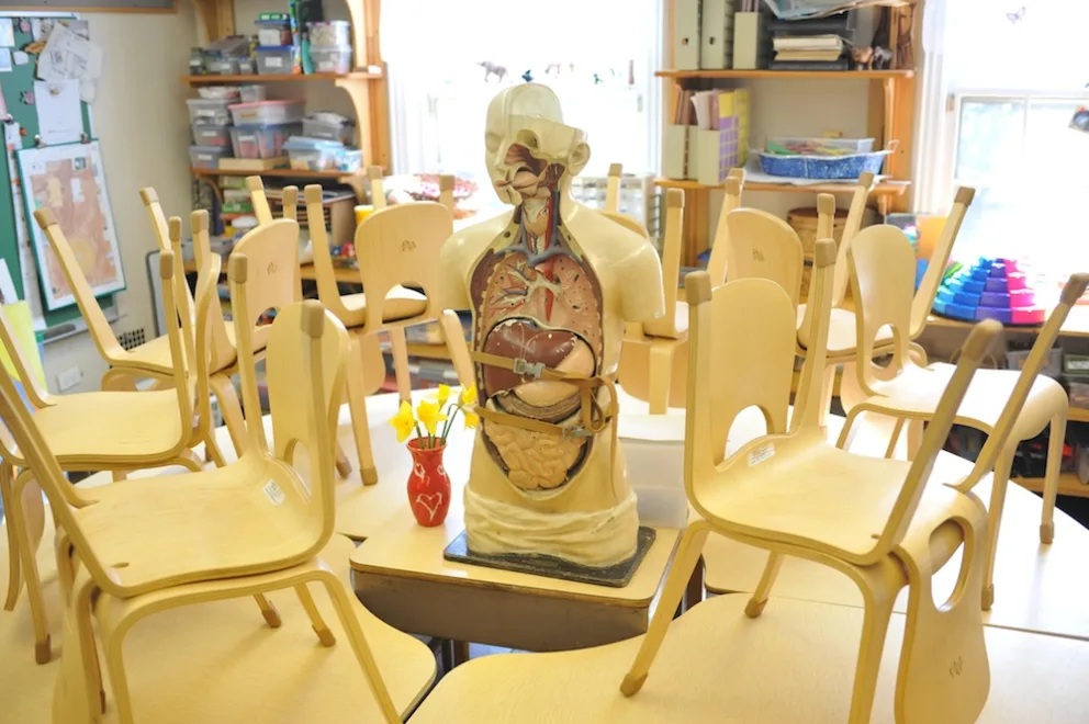 An anatomical model sits among chairs in a classroom.