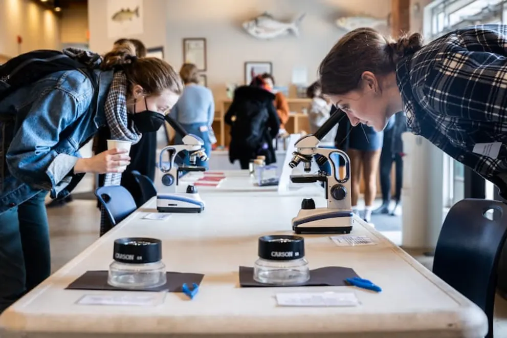 Two individuals lean over microscopes on a table, one holding a cup. The background shows a busy room with people and fish decor on the wall.