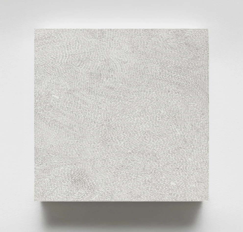 Rectangular artwork with dense, swirling patterns of small, textured lines on a white background.