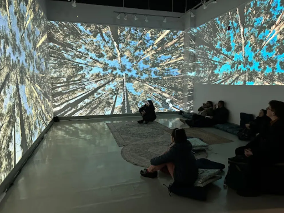 A group of people are sitting on the floor in a large room with a large window, watching a movie on a large screen.
