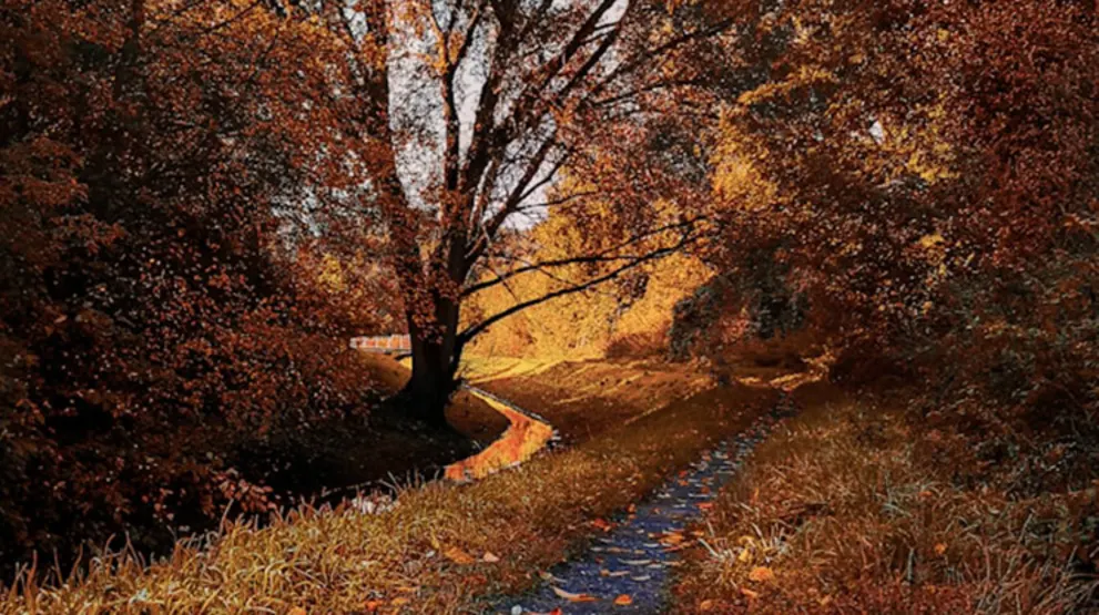 Autumn landscape with a path beside a stream, surrounded by trees with orange and brown leaves. Sunlight filters through, highlighting the scene.