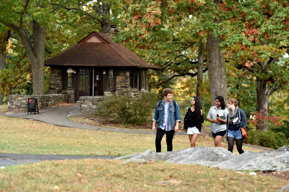 a group of people walking in a park near a gazebo with trees in the background and a gazebo in the foreground