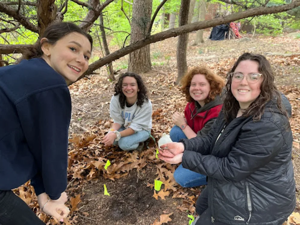 a group of women sitting around a tree in a forest with leaves on the ground and trees in the background