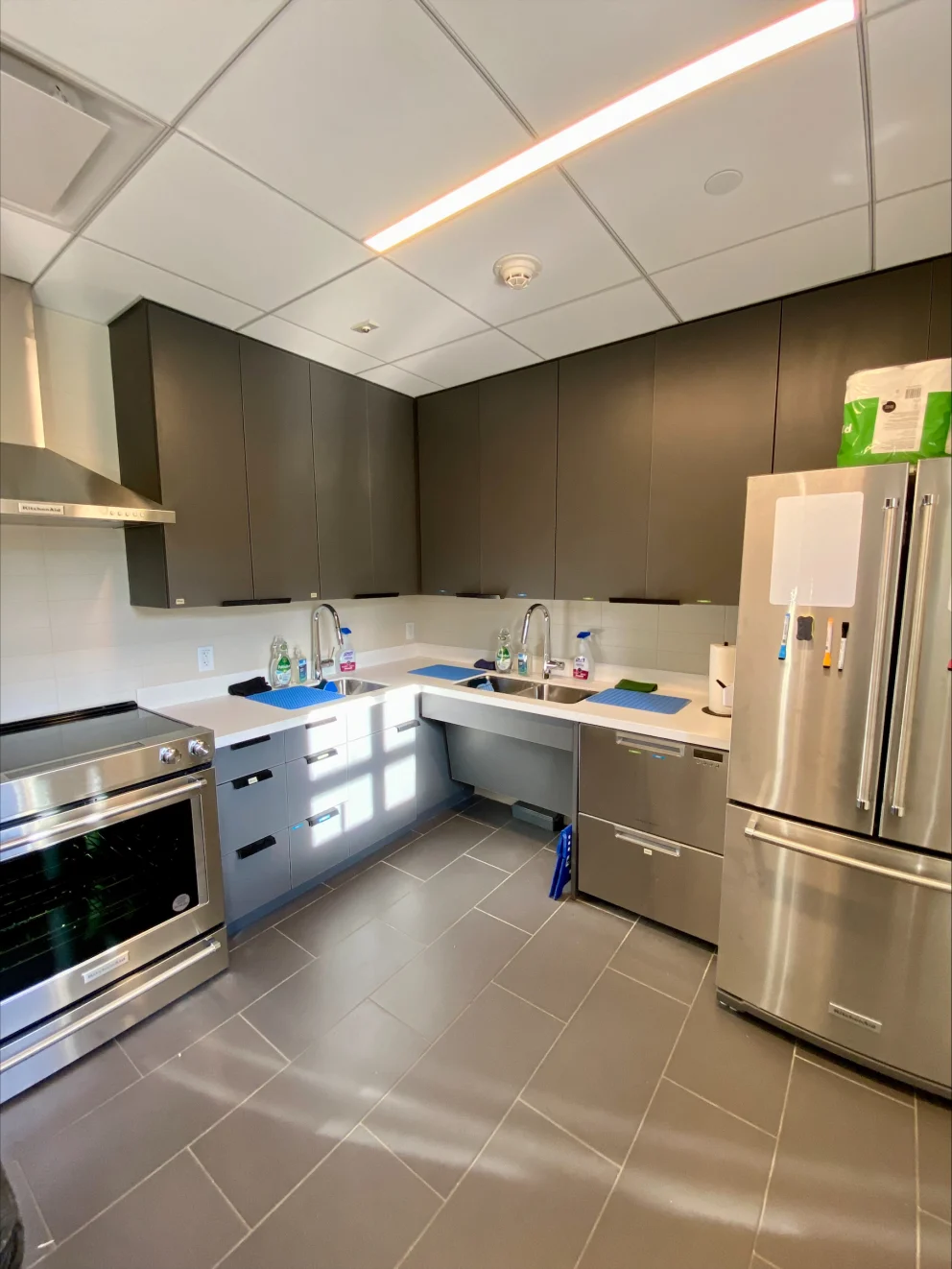 Modern kitchen with stainless steel appliances, dark cabinetry, and tiled floors. Sunlight streams through a window, illuminating the countertops.