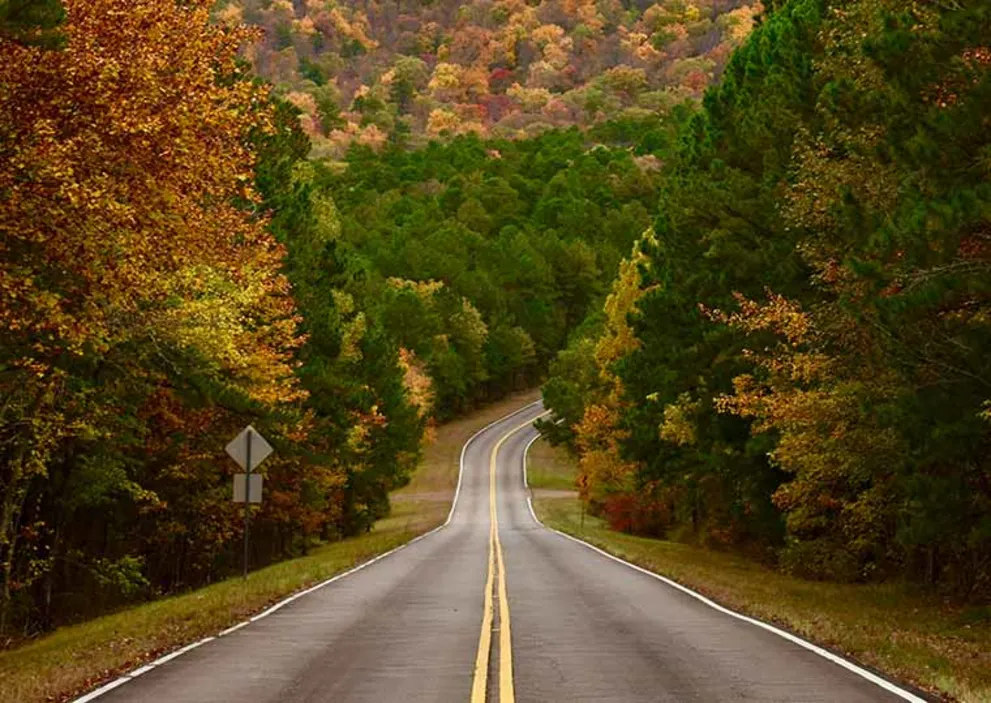A curving road flanked by autumn trees with vibrant red, yellow, and green foliage, leading into a forested hill.