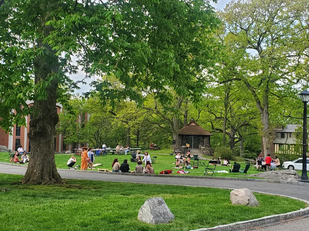 a group of people sitting on the grass in a park next to a tree and a lamp post with a building in the background