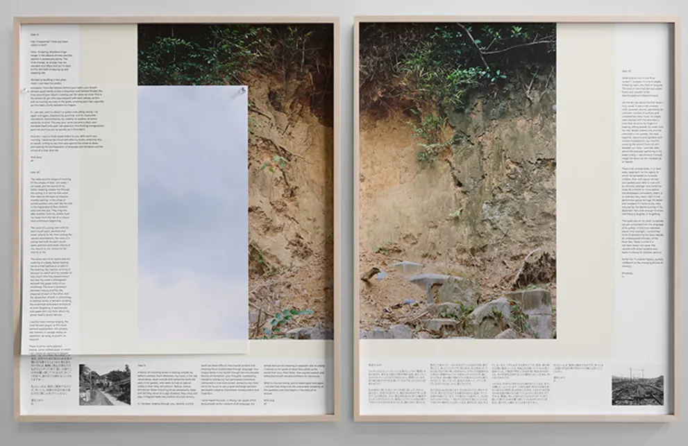 Two framed panels featuring a collage of text and images. Left panel shows a pale sky; right panel depicts a dirt slope with plants.