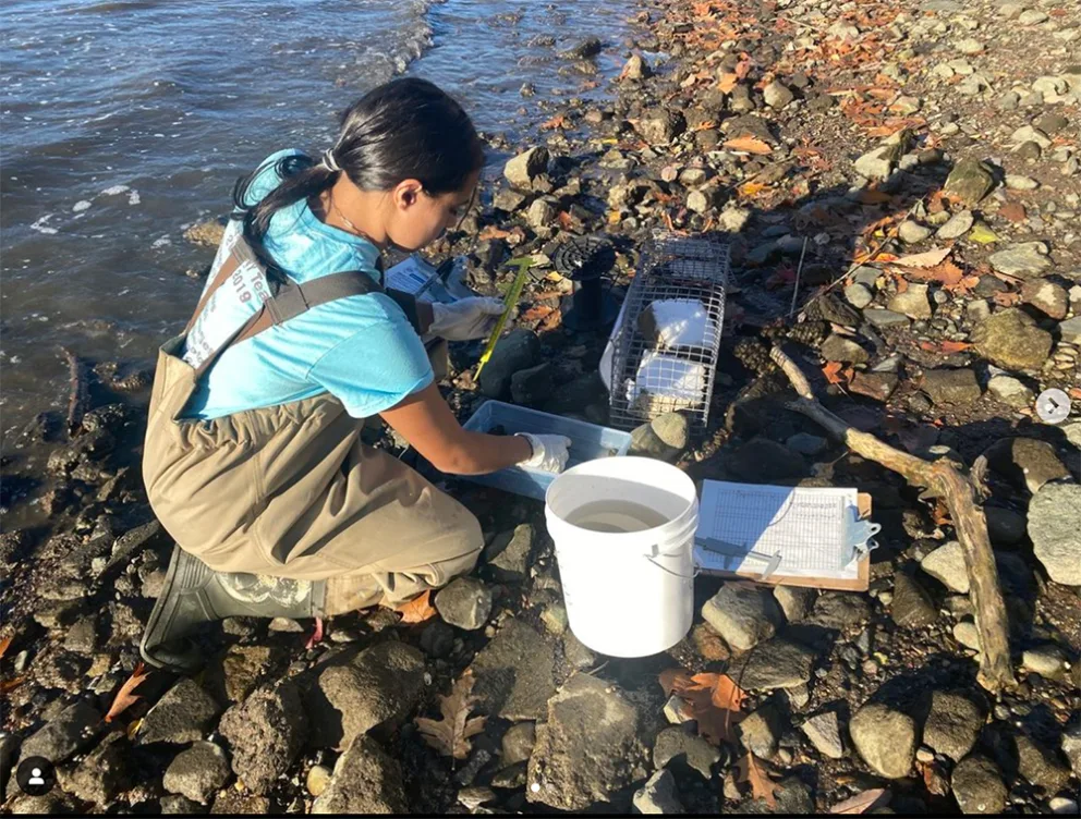 Person crouching on rocky shore, wearing waders, working with a white bucket and clipboard, near water with measuring tools and a cage.