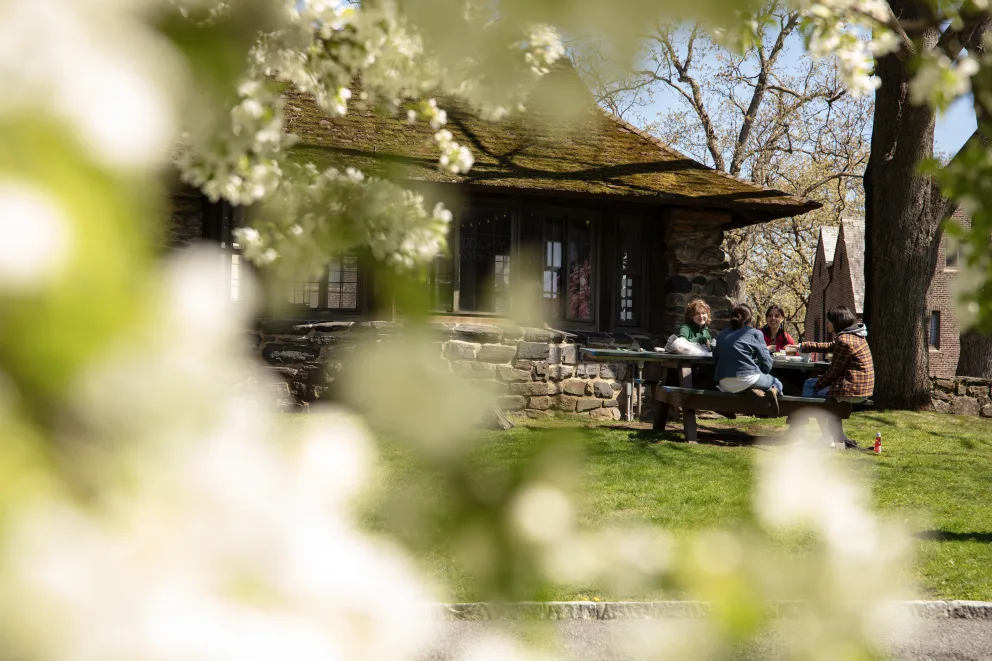 People sitting at a picnic table near a stone building, with blooming branches in the foreground and trees in the background.