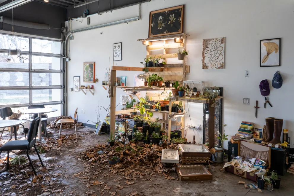 Indoor garden area with plants on shelves, framed art on white walls, a table with chairs, scattered leaves on the floor, and various wall decor.