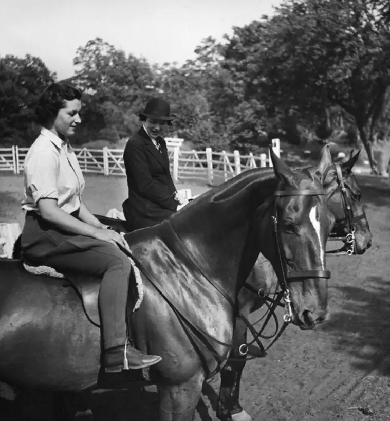 Two individuals on horses, in sunlight, near a fence.