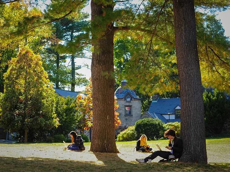 People sitting on grass beneath large trees, with a stone building in the background, enjoying a sunny day.