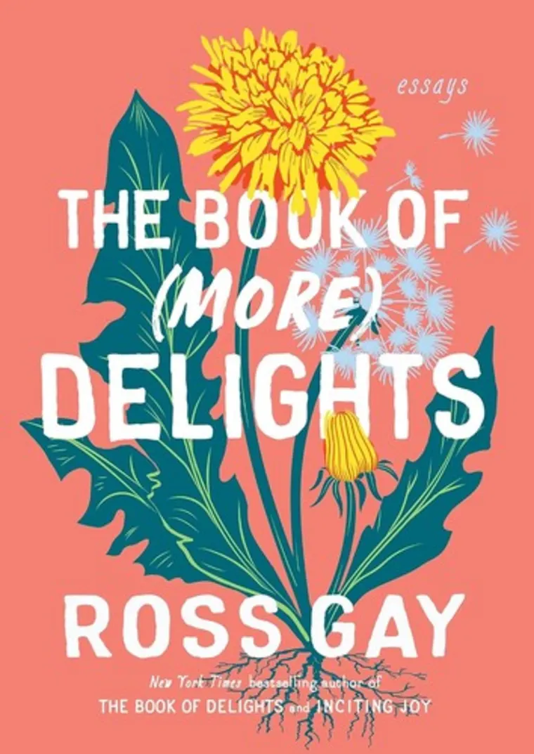 Book cover with title "The Book of (More) Delights" by Ross Gay, featuring a large yellow dandelion and blue flowers on a pink background.