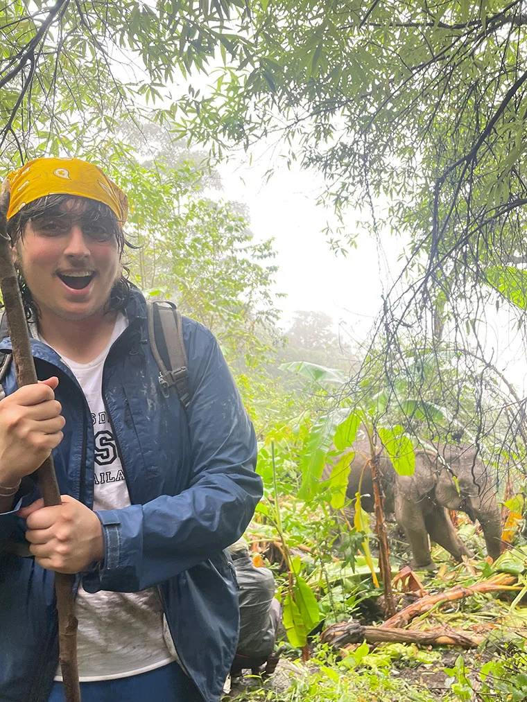 Person with a stick and yellow bandana in a jungle, smiling. An elephant is visible among the dense greenery in the background.