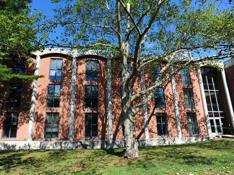 Brick building with large windows and white trim, partially shaded by a tall tree on a grassy lawn under a clear blue sky.