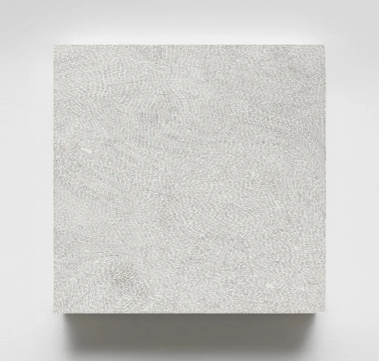 Rectangular artwork with dense, swirling patterns of small, textured lines on a white background.
