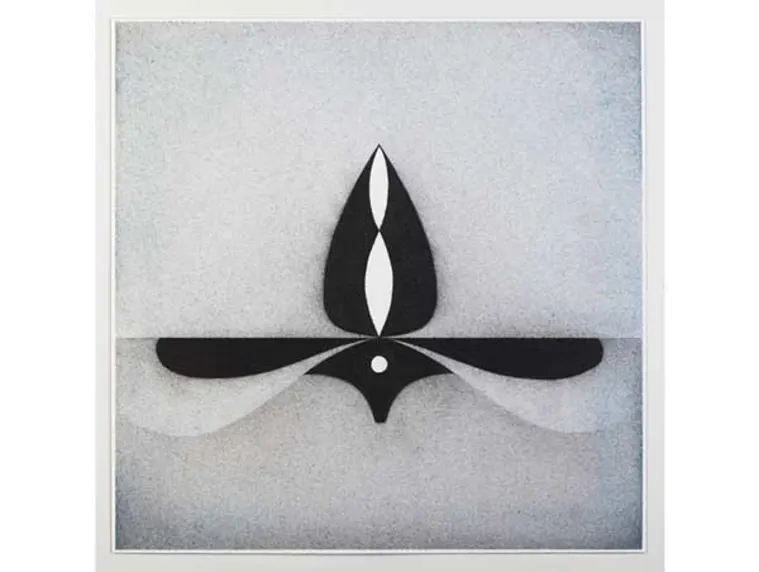 Abstract artwork featuring symmetric black shapes on a white background, resembling a stylized flower or leaf with a central white dot.