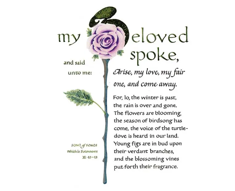 Stylized text with a purple rose illustration. The text quotes Song of Songs about love and the arrival of spring, featuring blooming flowers.