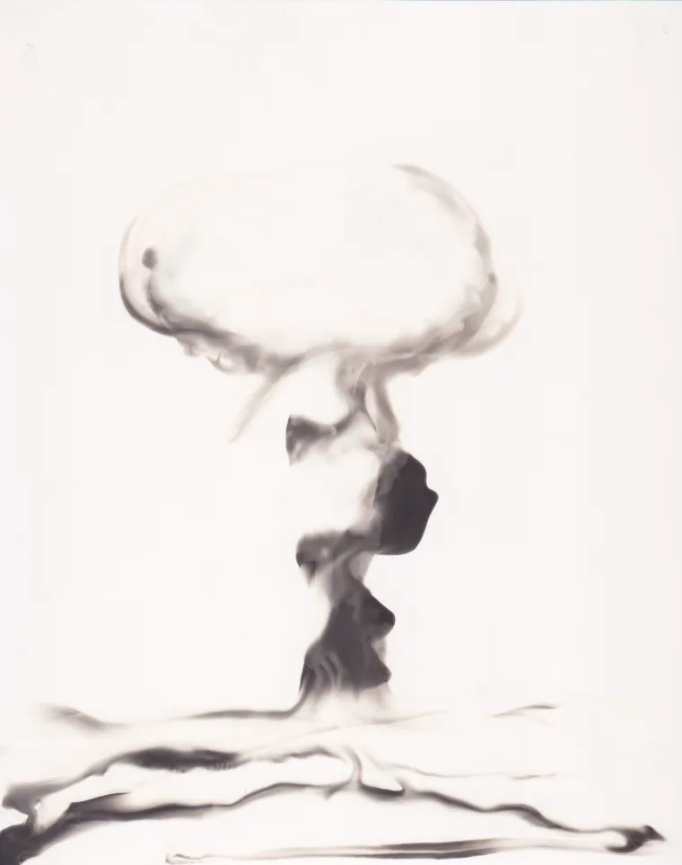 Abstract black and white image depicting a mushroom cloud shape against a light background.