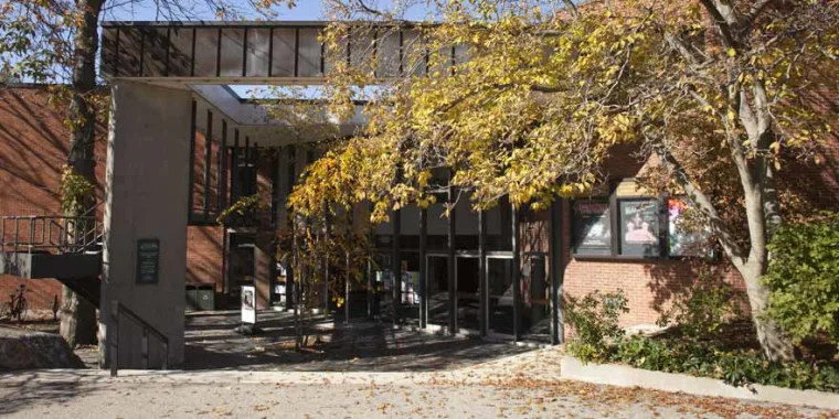 Brick building entrance with fall foliage, shadows on pavement, and a staircase on the left.