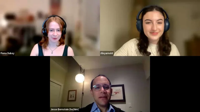 Three people in a virtual meeting, wearing headphones. The top two are in separate rooms with blurred backgrounds; the bottom person is in a well-lit room.