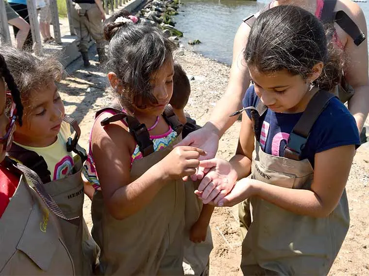 Children in waders gather by a shoreline, examining something small in one child's hand.