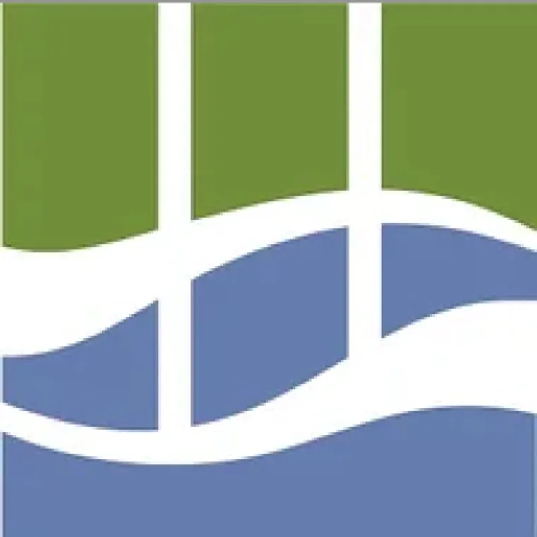 Abstract design with green upper rectangles and blue wavy shapes below, divided by white, curving lines.