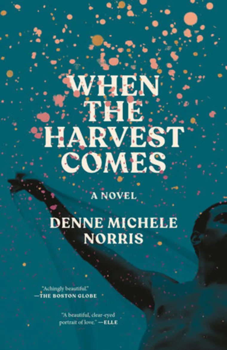Book cover with title "When the Harvest Comes" by Denne Michele Norris. Abstract art with multicolored splashes on a blue background.