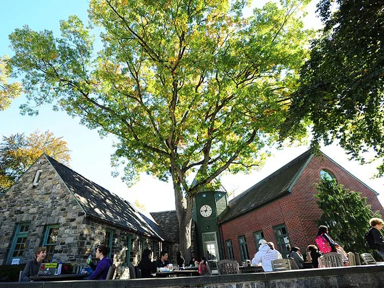 Stone and brick buildings with a large tree between them. People are seated and standing around outdoor tables under a clear blue sky.