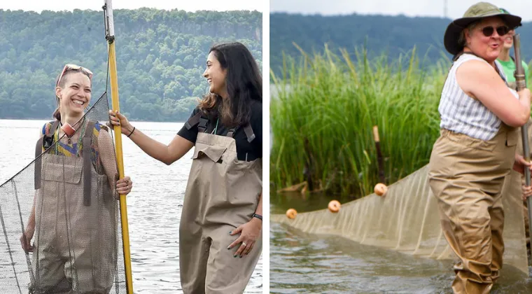Two people stand in a lake holding nets, smiling. Another person stands with a net near tall grass. All wear waders, with a tree-covered hill in the background.