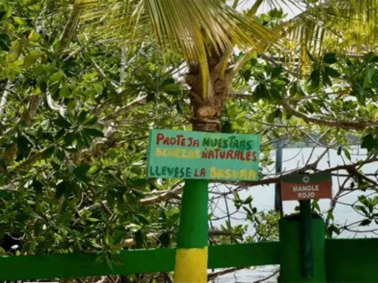 Sign on a tree says "Protect our natural beauty, take your trash." Surrounded by lush green foliage and water in the background.