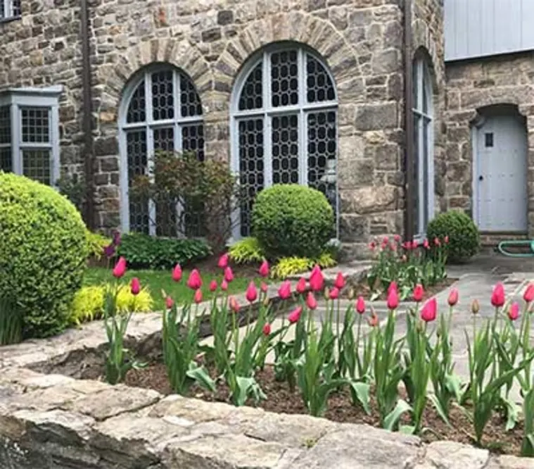 Stone building with arched windows, surrounded by red tulips and trimmed bushes in a garden.