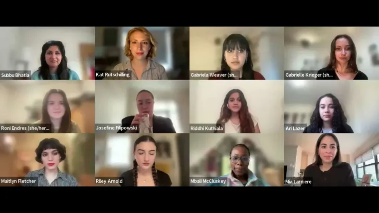 Twelve individuals in a virtual meeting, displayed in a 3x4 grid on screen, each in their own video frame, with various background settings.