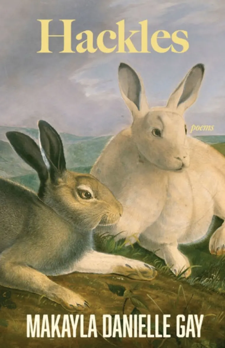 Two rabbits in a grassy landscape on a book cover titled "Hackles," with the author's name Makayla Danielle Gay.