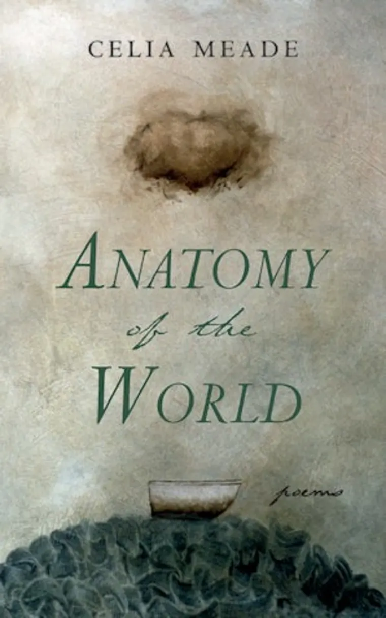 Book cover titled "Anatomy of the World" by Celia Meade. Features abstract art of a cloud and textured shapes on a muted background.