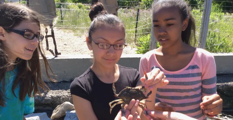 Three people outdoors examine a crab, one holding it while the others look on closely.