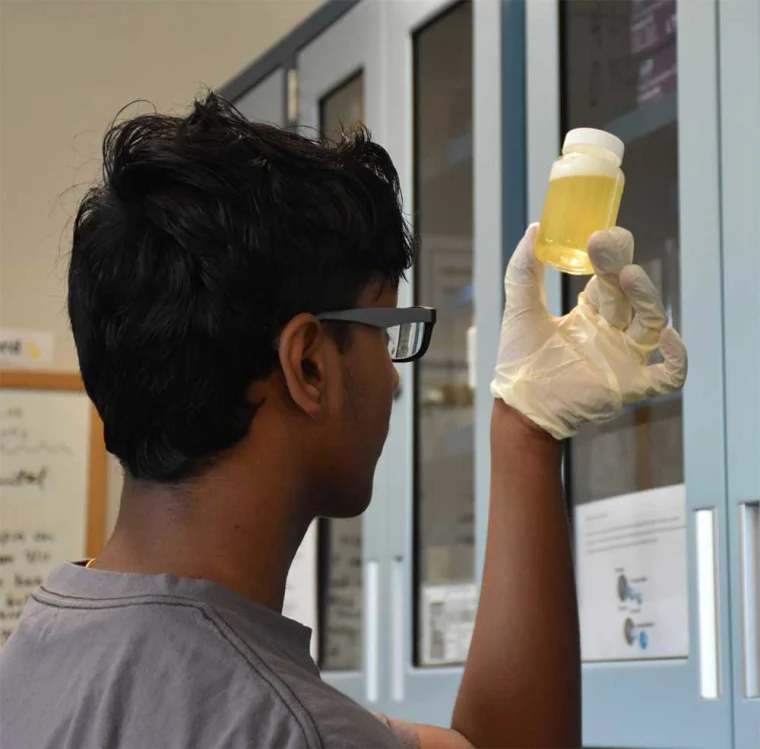 Person with glasses examines a yellow liquid in a small bottle, wearing gloves, in front of lab cabinets.