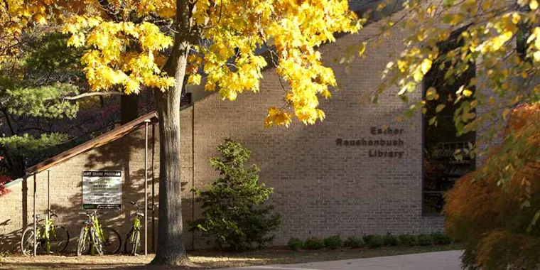 Library building in autumn with yellow leaves and parked bicycles by a small wooden structure.